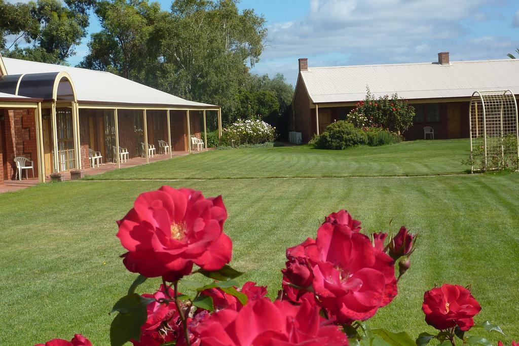 Coonawarra Place Motor Inn Dış mekan fotoğraf