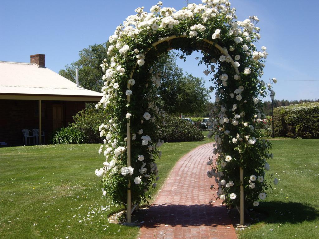 Coonawarra Place Motor Inn Dış mekan fotoğraf