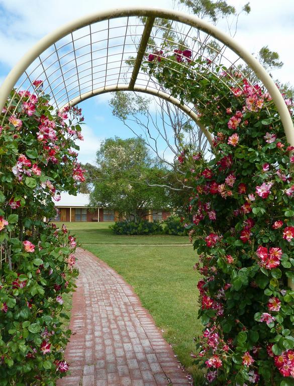Coonawarra Place Motor Inn Dış mekan fotoğraf