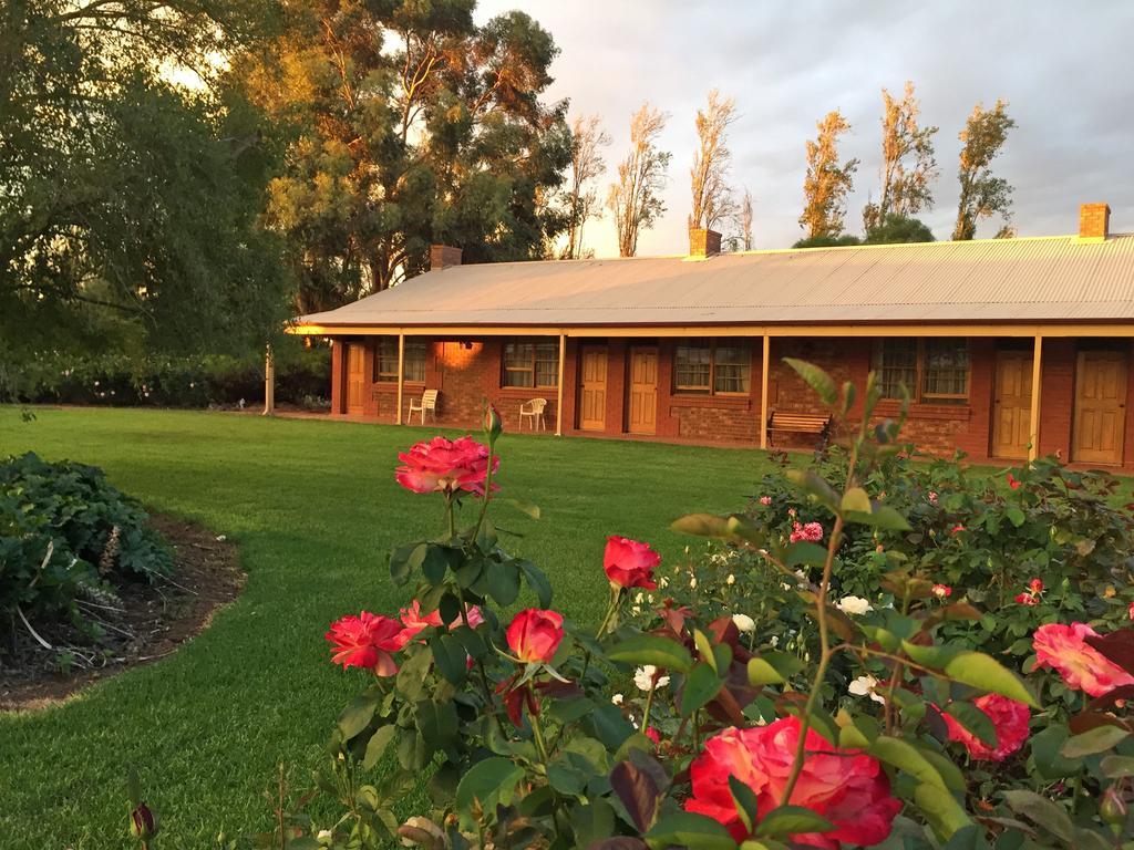 Coonawarra Place Motor Inn Dış mekan fotoğraf