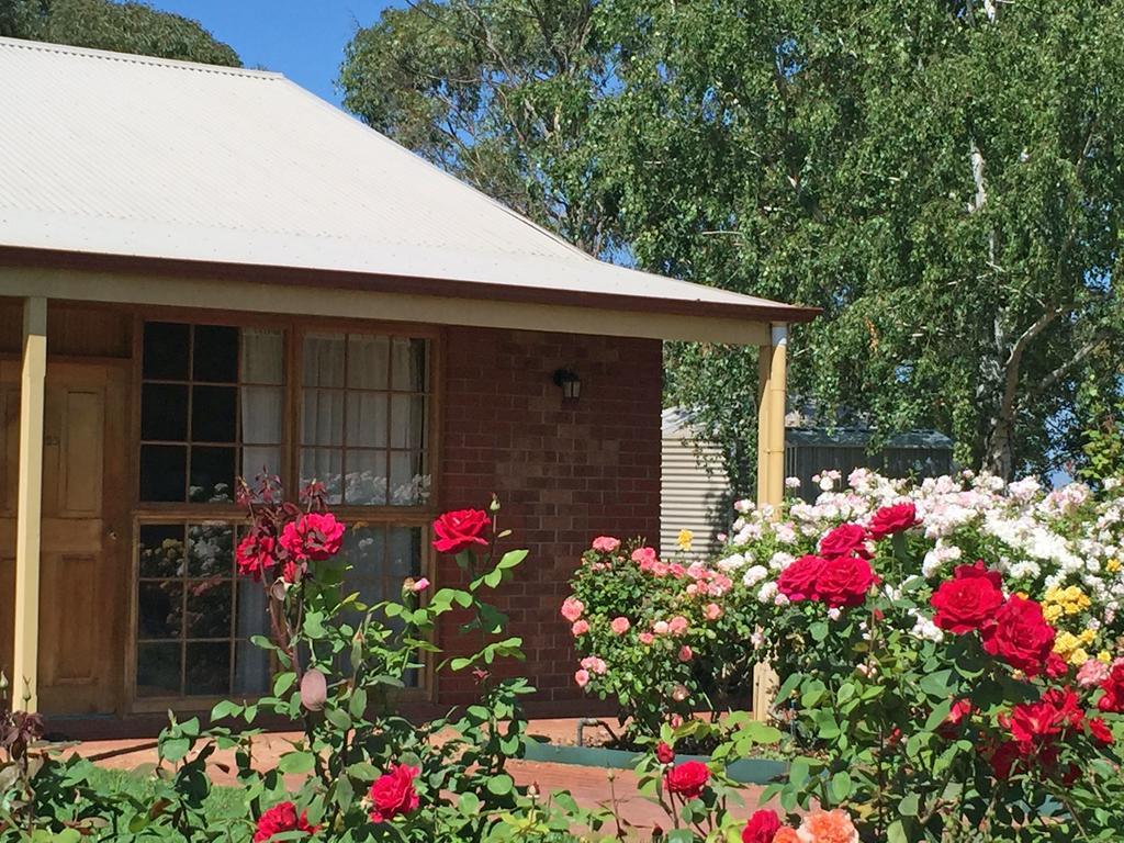 Coonawarra Place Motor Inn Dış mekan fotoğraf
