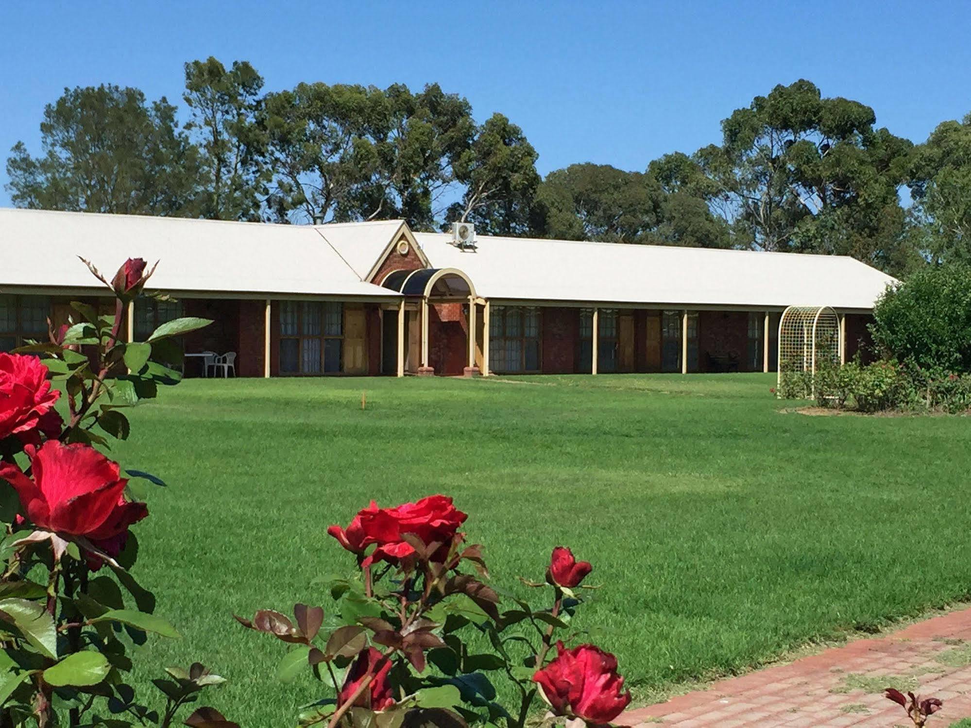 Coonawarra Place Motor Inn Dış mekan fotoğraf