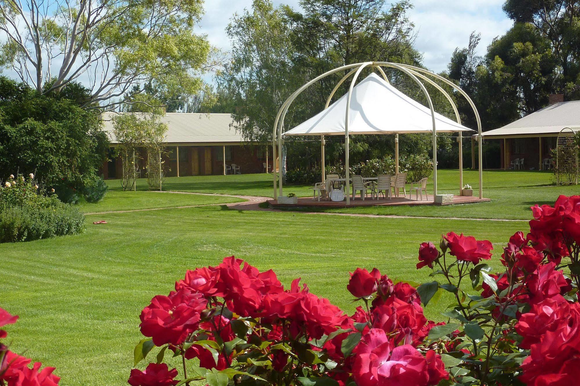 Coonawarra Place Motor Inn Dış mekan fotoğraf