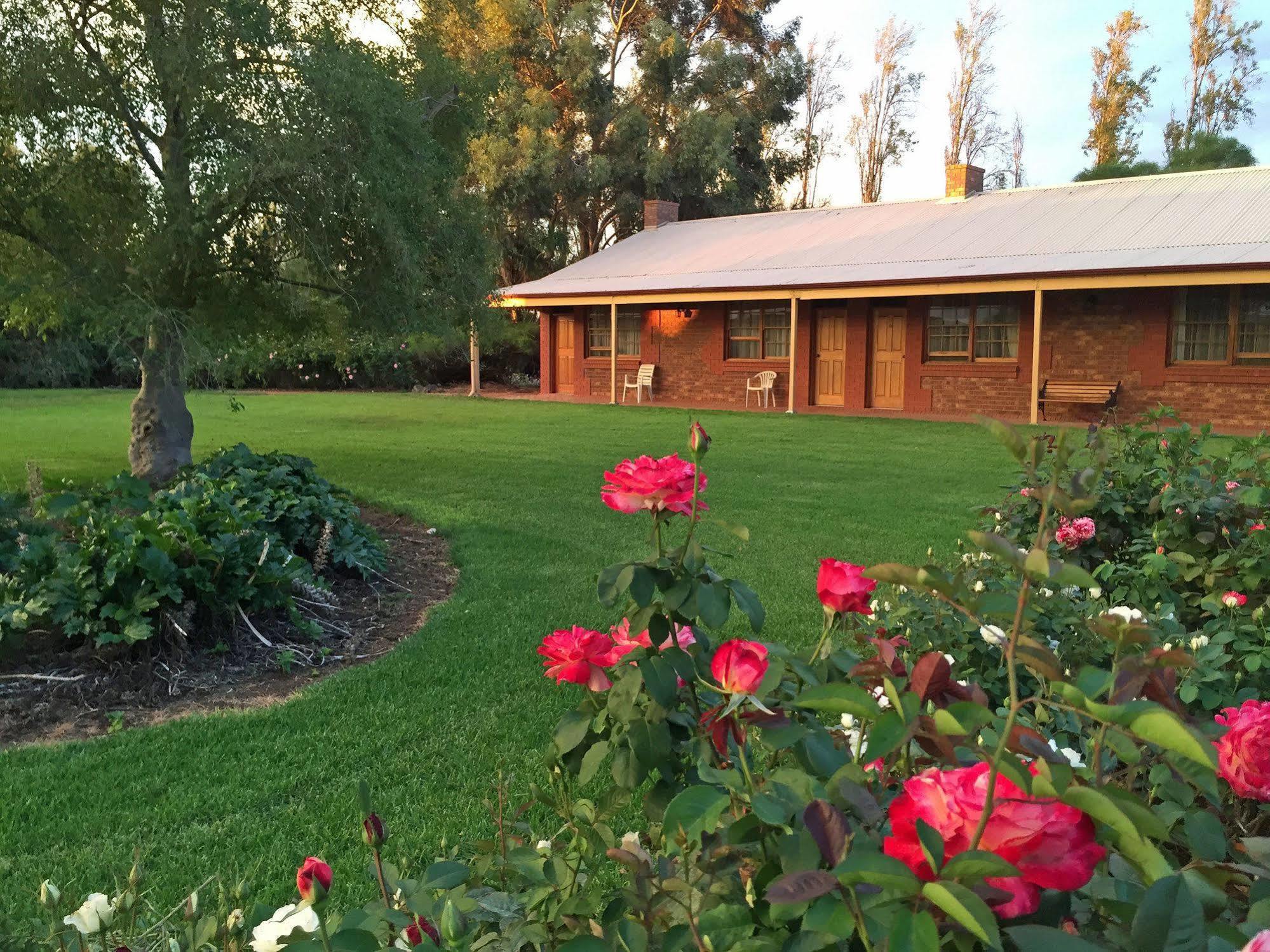Coonawarra Place Motor Inn Dış mekan fotoğraf