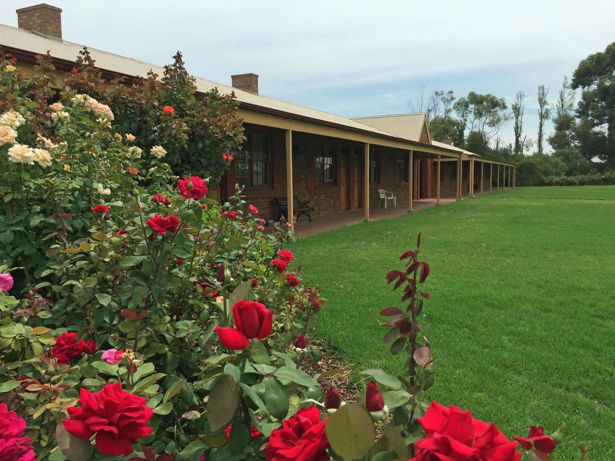 Coonawarra Place Motor Inn Dış mekan fotoğraf