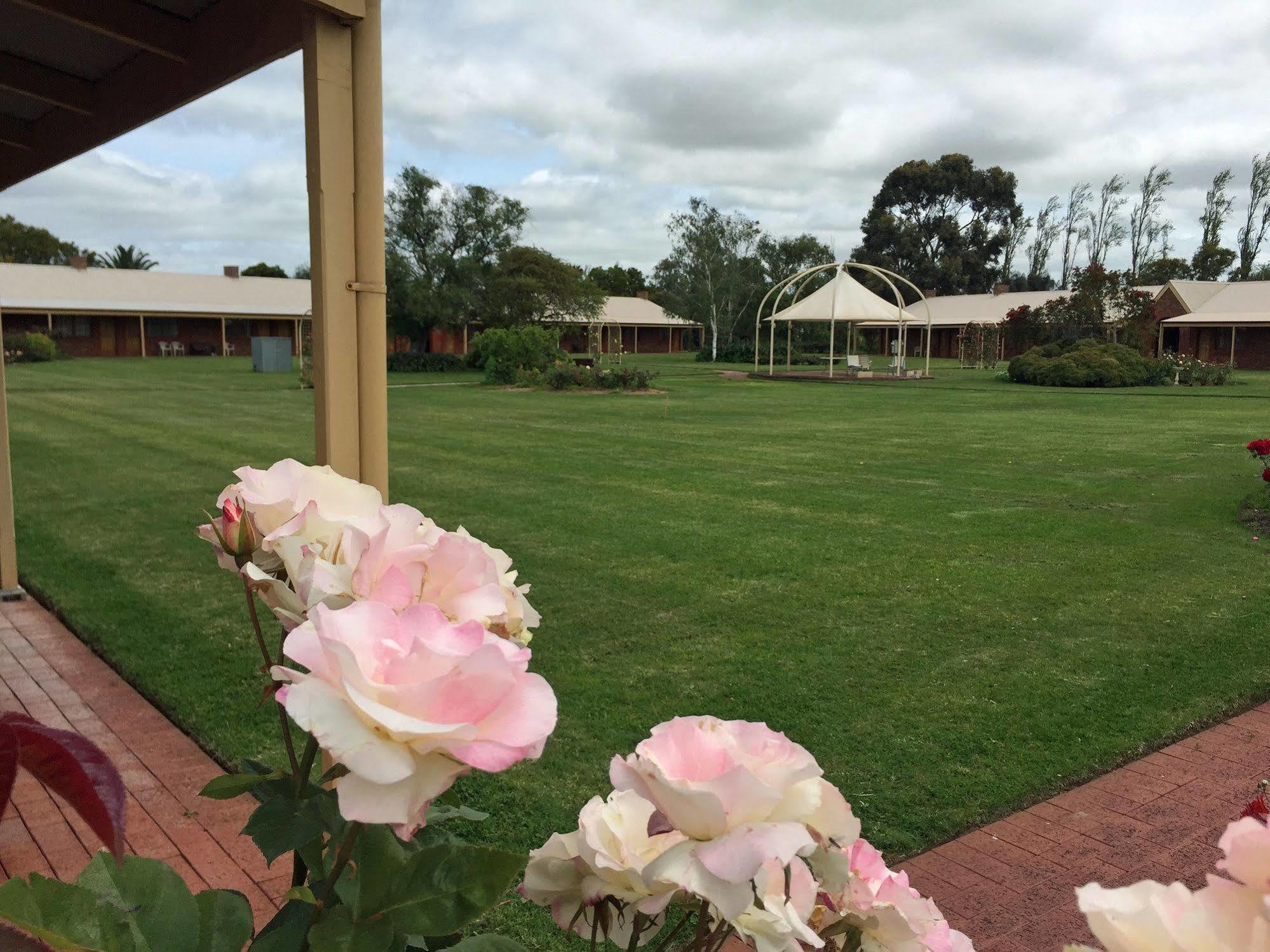 Coonawarra Place Motor Inn Dış mekan fotoğraf