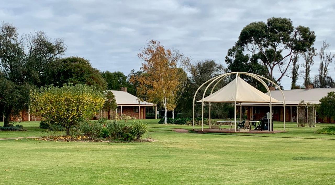Coonawarra Place Motor Inn Dış mekan fotoğraf